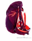 Salewa Alp Trainer 20l Women Backpack, , Purple, , Female, 0032-10808, 5637776226, , N2-07.jpg