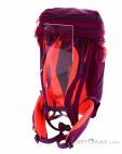 Salewa Alp Trainer 20l Women Backpack, , Purple, , Female, 0032-10808, 5637776226, , N2-12.jpg