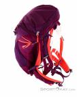 Salewa Alp Trainer 20l Women Backpack, , Purple, , Female, 0032-10808, 5637776226, , N3-08.jpg