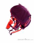 Salewa Alp Trainer 20l Women Backpack, , Purple, , Female, 0032-10808, 5637776226, , N4-14.jpg