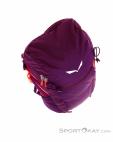 Salewa Alp Trainer 20l Women Backpack, , Purple, , Female, 0032-10808, 5637776226, , N4-19.jpg