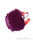 Salewa Alp Trainer 20l Women Backpack, , Purple, , Female, 0032-10808, 5637776226, , N5-05.jpg