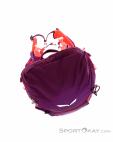 Salewa Alp Trainer 20l Women Backpack, , Purple, , Female, 0032-10808, 5637776226, , N5-20.jpg