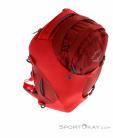 Osprey Porter 46l Backpack, Osprey, Red, , Male,Female,Unisex, 0149-10246, 5637782127, 845136057722, N3-18.jpg