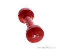 Sports Factory 1kg Dumbbell, Sports Factory, Red, , , 0351-10001, 5637782827, 0, N2-17.jpg