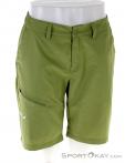 Salewa Iseo Dry Mens Outdoor Shorts, Salewa, Olive-Dark Green, , Male, 0032-10818, 5637795084, 0, N2-02.jpg
