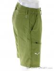 Salewa Iseo Dry Mens Outdoor Shorts, Salewa, Olive-Dark Green, , Male, 0032-10818, 5637795084, 0, N2-17.jpg