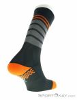 Dainese Riding Socks Mid Biking Pants, , Orange, , Male,Female,Unisex, 0055-10193, 5637795893, , N1-16.jpg