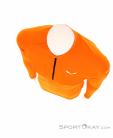 Salewa Sennes Dry L/S Mens Functional Shirt, Salewa, Orange, , Male, 0032-10845, 5637797201, 4053866211437, N4-04.jpg