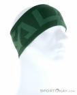 Salewa Pedroc 2 Dry Lite Headband, , Green, , Male,Female,Unisex, 0032-10856, 5637797447, , N1-01.jpg