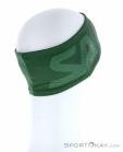 Salewa Pedroc 2 Dry Lite Headband, Salewa, Green, , Male,Female,Unisex, 0032-10856, 5637797447, 4053866165884, N1-16.jpg