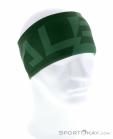 Salewa Pedroc 2 Dry Lite Headband, , Green, , Male,Female,Unisex, 0032-10856, 5637797447, , N2-02.jpg