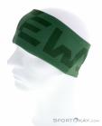 Salewa Pedroc 2 Dry Lite Headband, , Green, , Male,Female,Unisex, 0032-10856, 5637797447, , N2-07.jpg