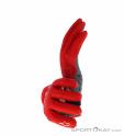 Alpinestars Predator Biking Gloves, , Red, , Male,Female,Unisex, 0187-10229, 5637797854, , N1-06.jpg