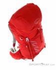Osprey Talon 33l Backpack, , Red, , Male,Female,Unisex, 0149-10129, 5637798045, , N3-18.jpg