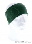 Ortovox 145 Ultra Headband Headband, , Green, , Male,Female,Unisex, 0016-10971, 5637804616, , N2-02.jpg