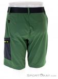 Salewa Pedroc Cargo 2 DST Mens Outdoor Shorts, , Green, , Male, 0032-10772, 5637807000, , N2-12.jpg
