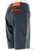 Millet Wanaka Stretch Mens Outdoor Shorts, Millet, Gray, , Male, 0316-10100, 5637817422, 0, N1-16.jpg