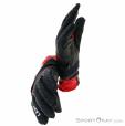 Leki Nordic Circuit Shark Gloves, Leki, Red, , Male,Female,Unisex, 0012-10359, 5637820386, 4028173783168, N2-07.jpg