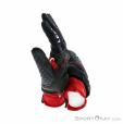 Leki Nordic Circuit Shark Gloves, Leki, Red, , Male,Female,Unisex, 0012-10359, 5637820386, 4028173783168, N2-17.jpg