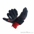Leki Nordic Circuit Shark Gloves, Leki, Rojo, , Hombre,Mujer,Unisex, 0012-10359, 5637820386, 4028173783168, N4-19.jpg