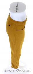 Black Diamond Notion SP Womens Outdoor Pants, , Yellow, , Female, 0056-10721, 5637823912, , N3-18.jpg