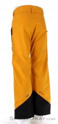 Peak Performance Vertical 3L Mens Ski Pants, , Orange, , Male, 0330-10083, 5637825705, , N1-11.jpg