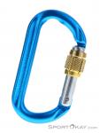 Austrialpin Ovalo GI Screwlock Carabiner, , Blue, , , 0087-10144, 5637826360, , N1-01.jpg