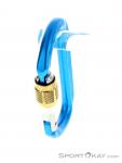 Austrialpin Ovalo GI Screwlock Carabiner, , Blue, , , 0087-10144, 5637826360, , N2-07.jpg