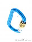 Austrialpin Ovalo GI Screwlock Carabiner, , Blue, , , 0087-10144, 5637826360, , N3-03.jpg