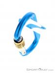 Austrialpin Ovalo GI Screwlock Carabiner, , Blue, , , 0087-10144, 5637826360, , N3-08.jpg