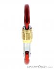 Austrialpin Ovalo GI Screwlock Carabiner, , Red, , , 0087-10144, 5637826361, , N1-06.jpg