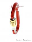 Austrialpin Ovalo GI Screwlock Carabiner, , Red, , , 0087-10144, 5637826361, , N2-07.jpg