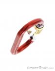 Austrialpin Ovalo GI Screwlock Carabiner, , Red, , , 0087-10144, 5637826361, , N4-19.jpg