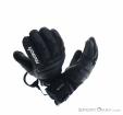 Reusch Lexis Pinturault GTX Gloves Gore-Tex, Reusch, Čierna, , Muži,Ženy,Unisex, 0124-10079, 5637827278, 4060485217054, N4-19.jpg