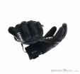 Reusch Lexis Pinturault GTX Gloves Gore-Tex, Reusch, Čierna, , Muži,Ženy,Unisex, 0124-10079, 5637827278, 4060485217054, N5-20.jpg
