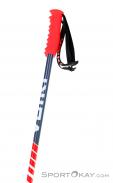 Völkl Speedstick Ski Poles, , Red, , Male,Female,Unisex, 0127-10319, 5637828720, , N1-06.jpg