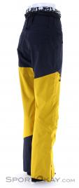 Picture Alpine Mens Ski Pants, Picture, Yellow, , Male, 0343-10050, 5637828772, 3663270441453, N1-16.jpg