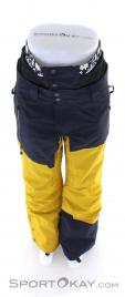 Picture Alpine Mens Ski Pants, Picture, Yellow, , Male, 0343-10050, 5637828772, 3663270441453, N3-03.jpg