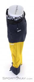 Picture Alpine Mens Ski Pants, Picture, Yellow, , Male, 0343-10050, 5637828772, 3663270441453, N3-08.jpg