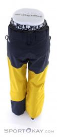 Picture Alpine Mens Ski Pants, Picture, Yellow, , Male, 0343-10050, 5637828772, 3663270441453, N3-13.jpg