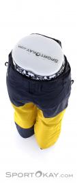 Picture Alpine Mens Ski Pants, Picture, Yellow, , Male, 0343-10050, 5637828772, 3663270441453, N4-14.jpg