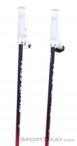 Völkl Phantastick Womens Ski Poles, Völkl, Red, , Female, 0127-10322, 5637828778, 821264708354, N2-02.jpg