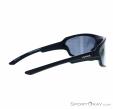 Alpina Lyron Shield P Sunglasses, Alpina, Black, , Male,Female,Unisex, 0027-10163, 5637828918, 4003692286734, N1-16.jpg