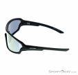 Alpina Lyron Shield P Sunglasses, Alpina, Black, , Male,Female,Unisex, 0027-10163, 5637828918, 4003692286734, N2-07.jpg