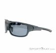 Alpina Lyron PMR Sunglasses, , Gray, , Male,Female,Unisex, 0027-10164, 5637828926, , N1-06.jpg
