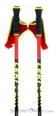 Leki WCR GS Carbon 3D Bâtons de ski, Leki, Rouge, , Hommes,Femmes,Unisex, 0012-10361, 5637829006, 4028173291069, N1-01.jpg