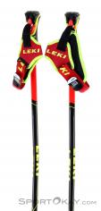 Leki WCR GS Carbon 3D Ski Poles, , Red, , Male,Female,Unisex, 0012-10361, 5637829006, , N2-12.jpg