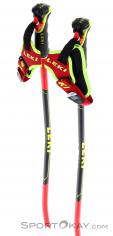 Leki WCR GS Carbon 3D Bâtons de ski, Leki, Rouge, , Hommes,Femmes,Unisex, 0012-10361, 5637829006, 4028173291069, N3-13.jpg