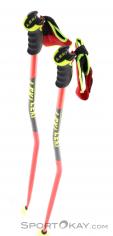 Leki WCR GS Carbon 3D Bâtons de ski, Leki, Rouge, , Hommes,Femmes,Unisex, 0012-10361, 5637829006, 4028173291069, N4-04.jpg